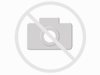 PARD- IR-LAMPE-STRAHLER